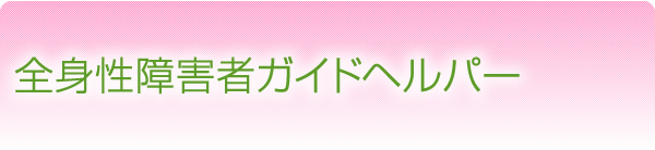 全身性障害者ガイドヘルパー