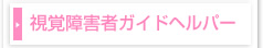 視覚障害者ガイドヘルパー